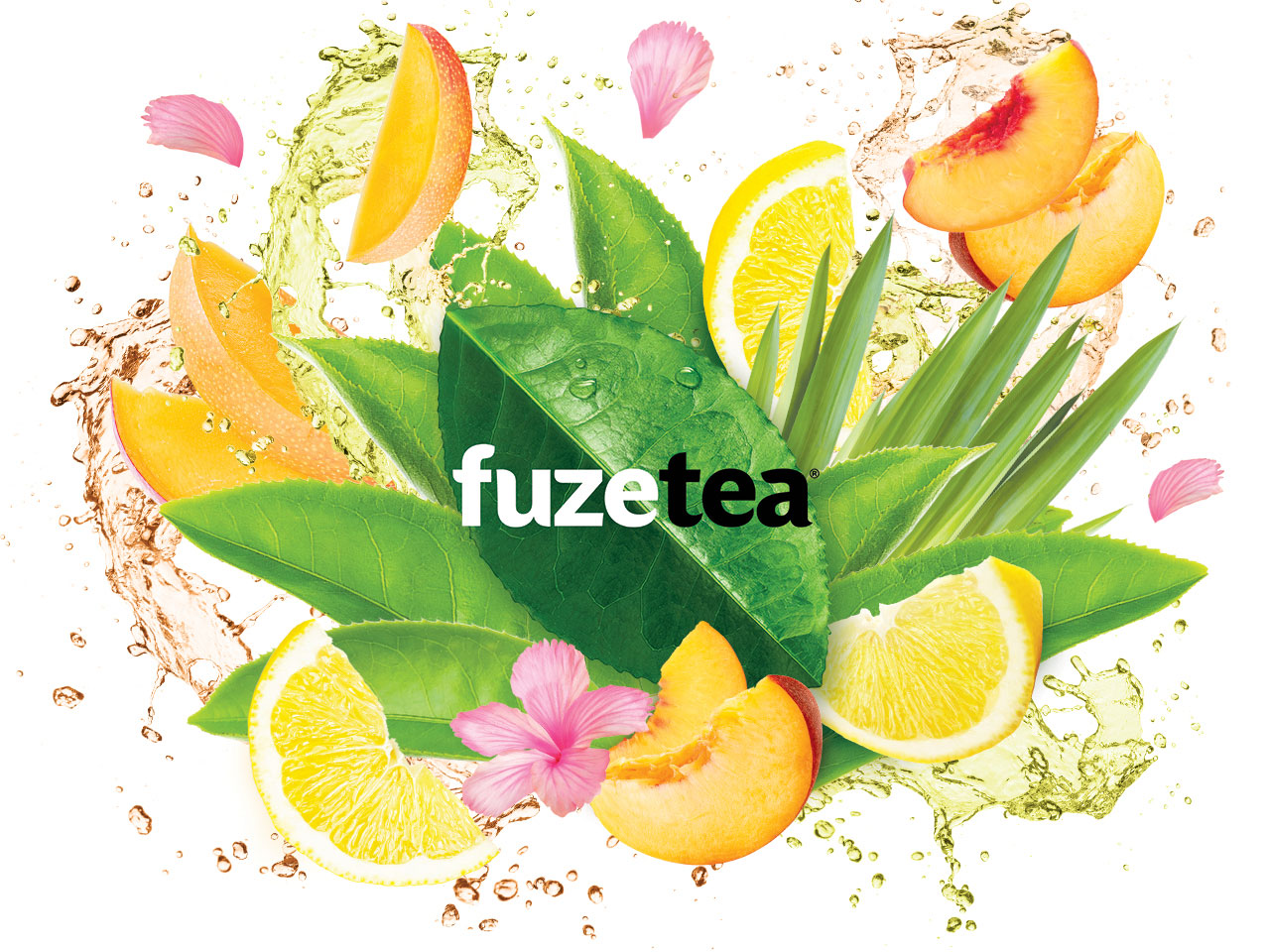 FuzeTea Promotion project image
